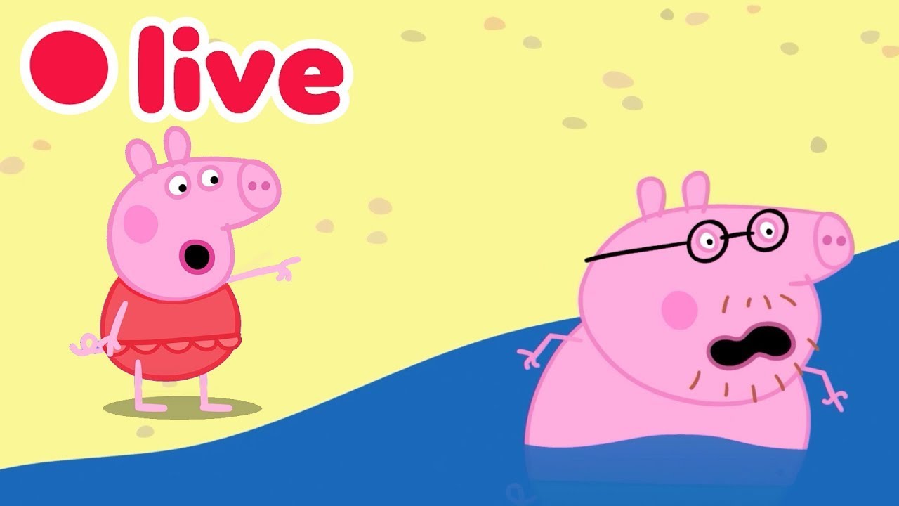 Peppa Pig NEW BABY EVIE Episodes LIVE 🍼 Cutest & Funniest Moments 🥹💛 Kids Cartoons