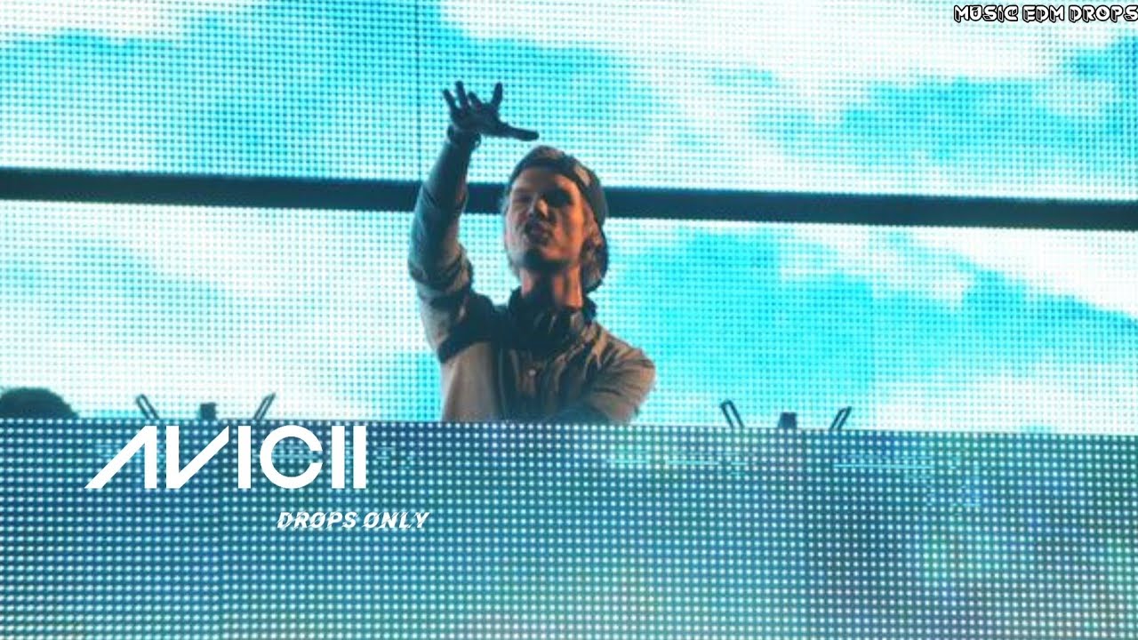Avicii @KROQ Weenie Roast 2014 - Drops Only