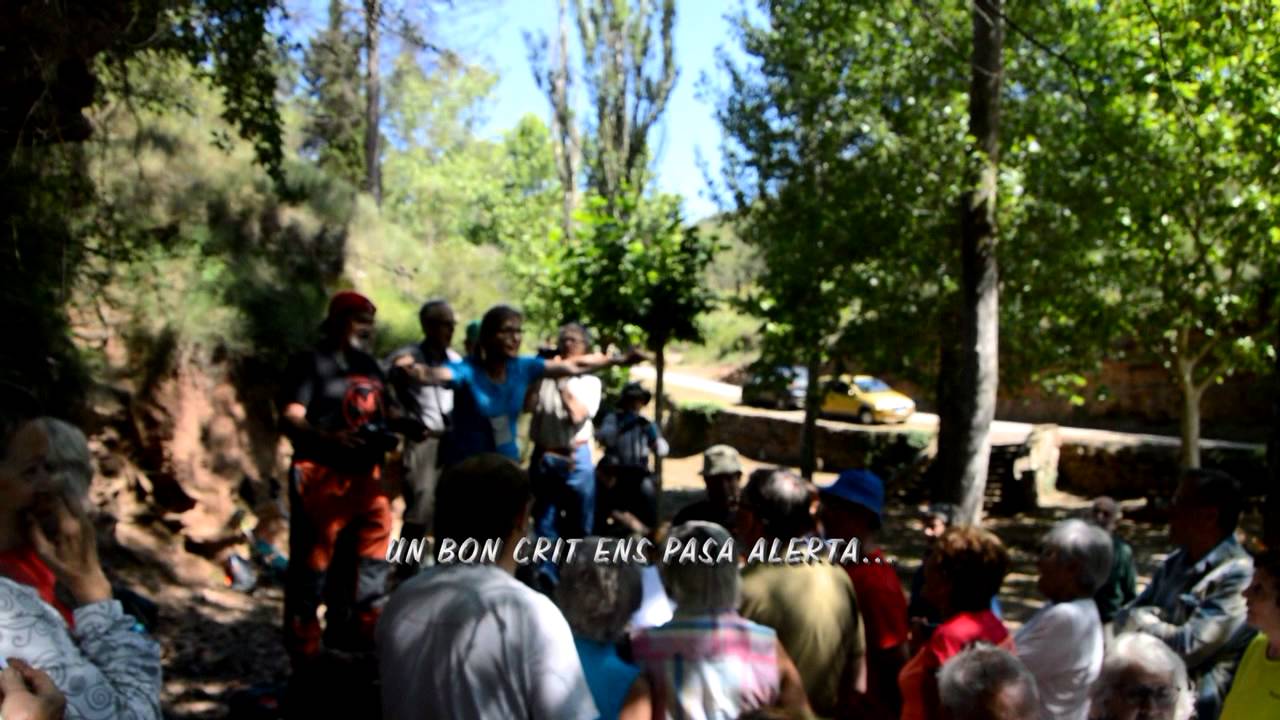 SOM LA COLLA DEL DIMECRES