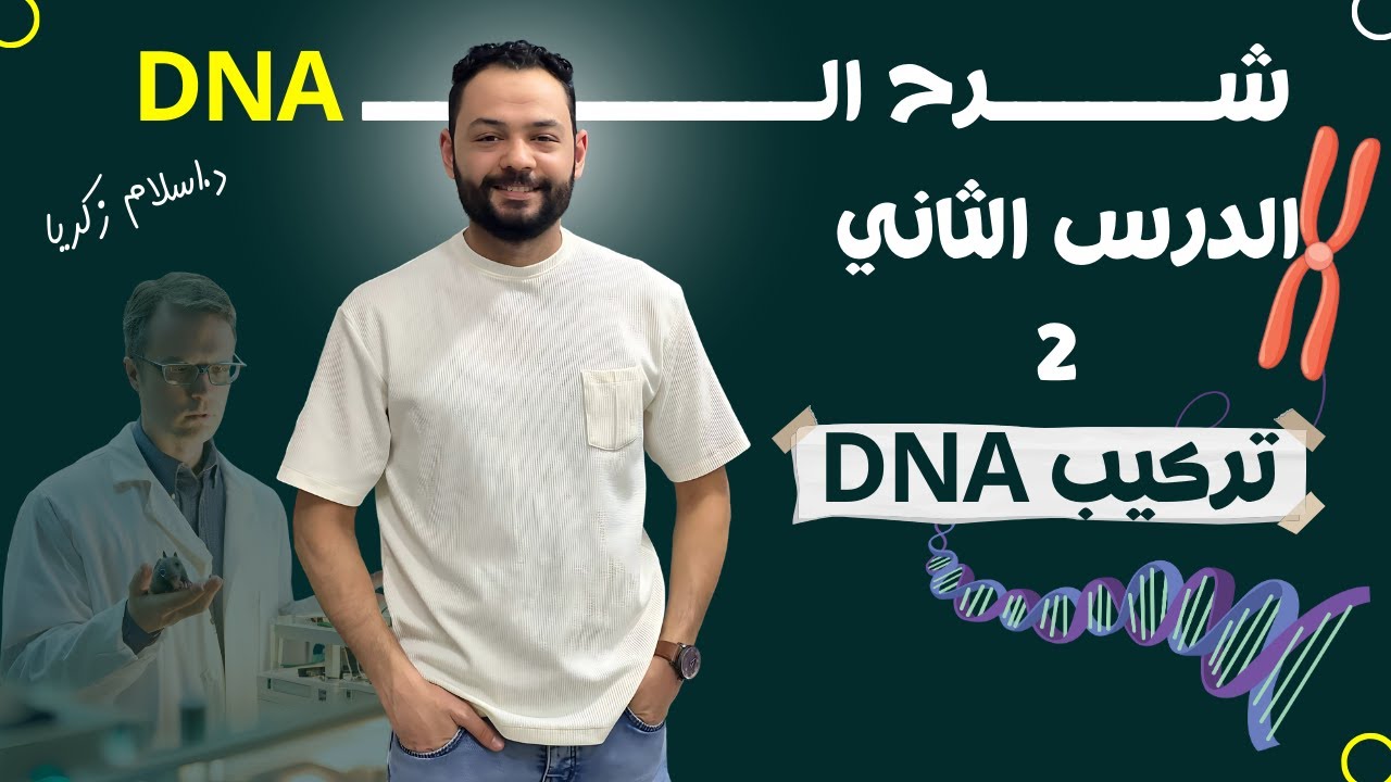 شرح تركيب DNA + نموذج فرانكلين واطسون وكريك ( أساس ال DNA) 👌💫