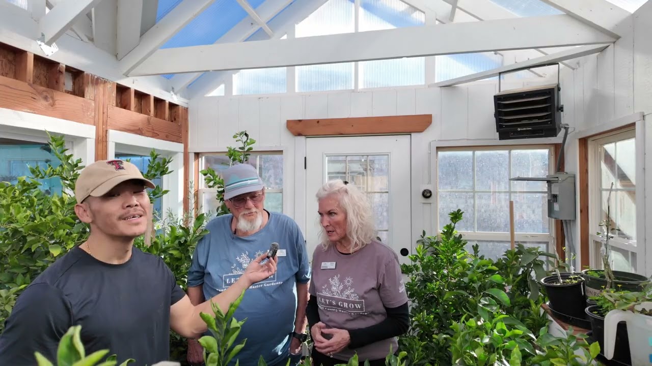 Информация о мастере-садоводе округа Рэндалл, Амарилло, Техас, 2026: как стать мастером-садоводом!