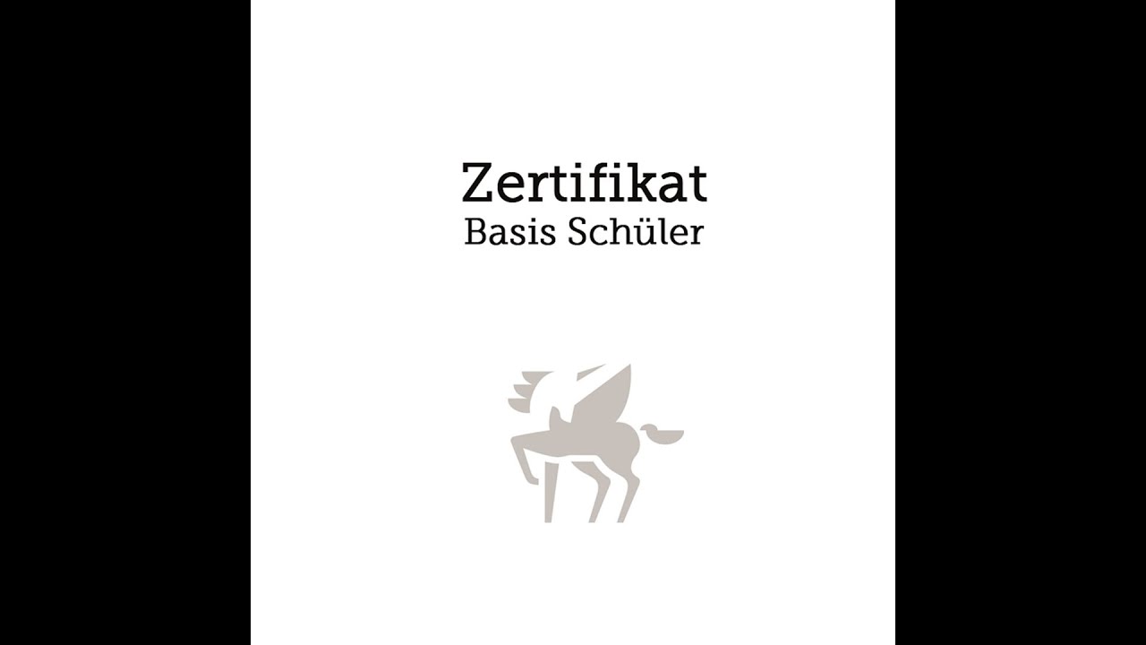 Longieren auf Kappzaum. Gelöste Bodenarbeit. Prüfung