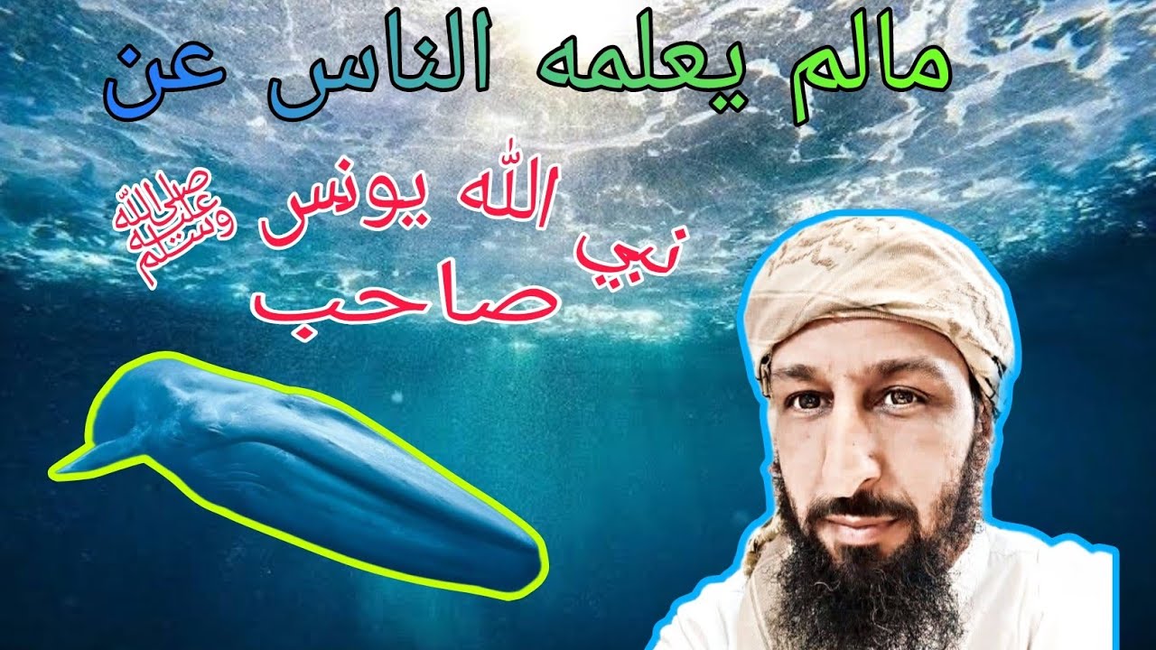 ما لم يعلمه الناس عن يونس صاحب الحوت ﷺ؛ وافتراء اليهود.وعجيب قصص القرآن!! ج1