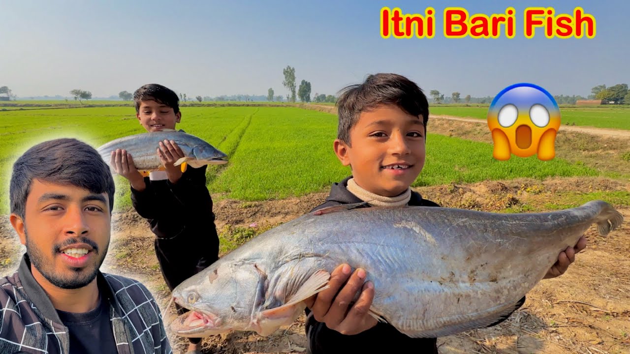 First Time Itni Bari Fish Dekhi 😱 Fish Party 🥳