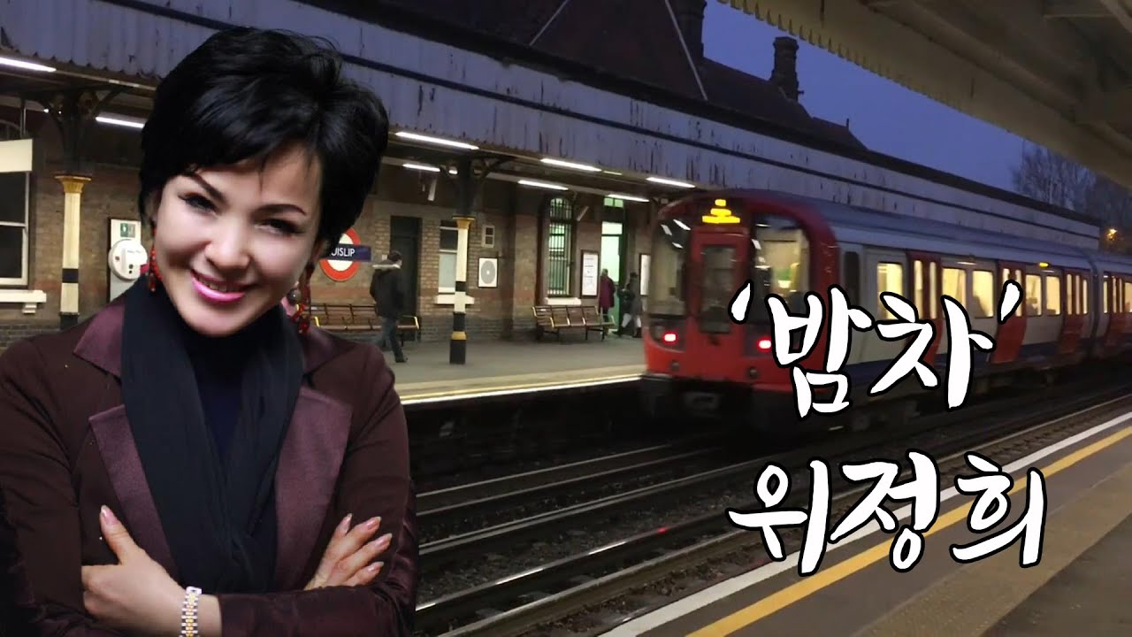 가수 위정희 - 밤차