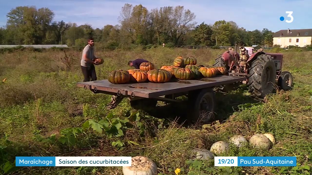 Maraîchers du Béarn, famille Peyré à Meillon