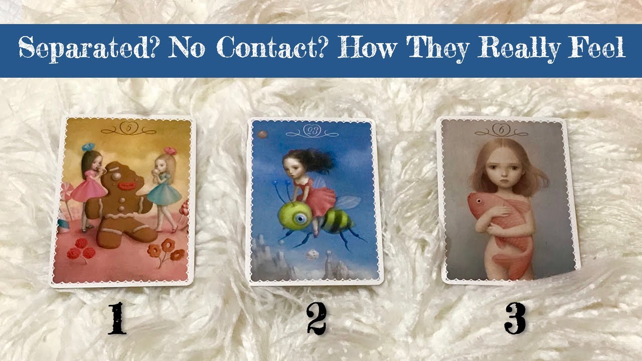 Separated 💔 No Contact. How Do They Really Feel??