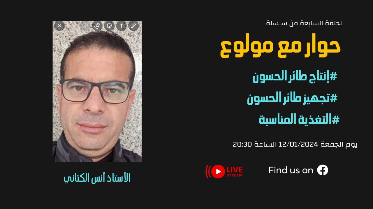 تجهيز طائر الحسون و تقنيات الإنتاج مع الأستاذ أننس الكتاني