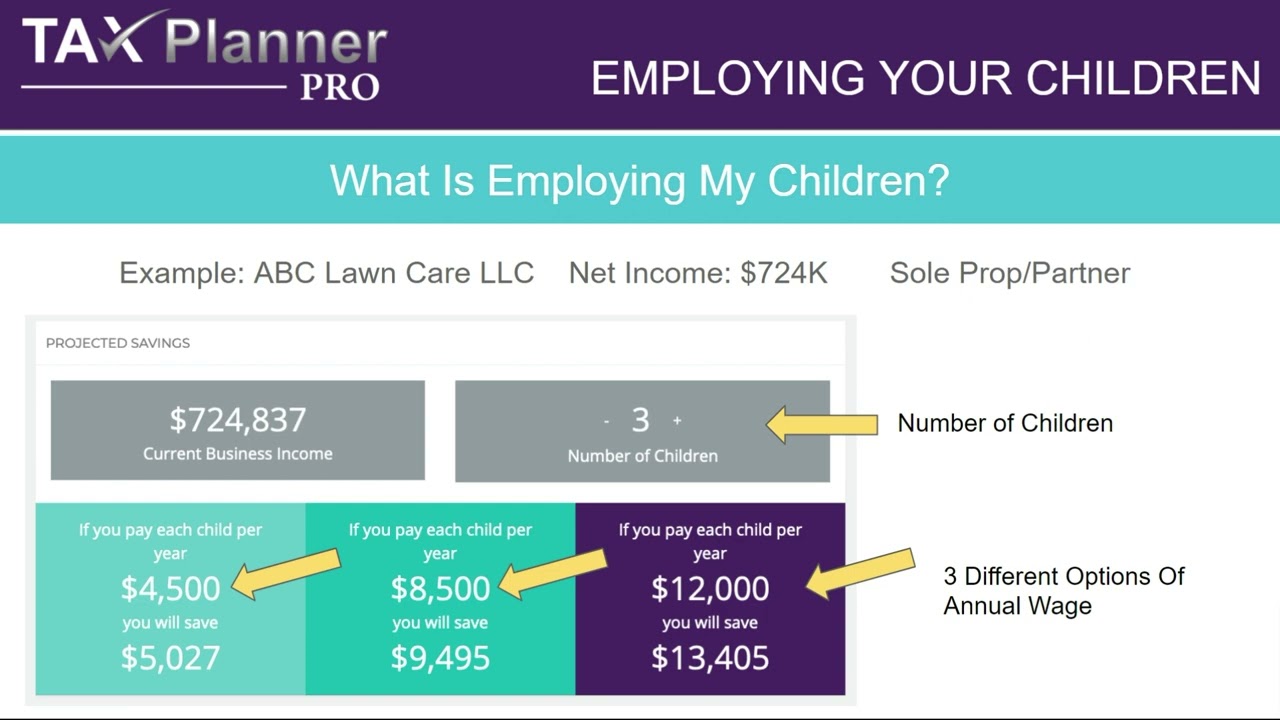 Tax Planner Pro: Employing Children