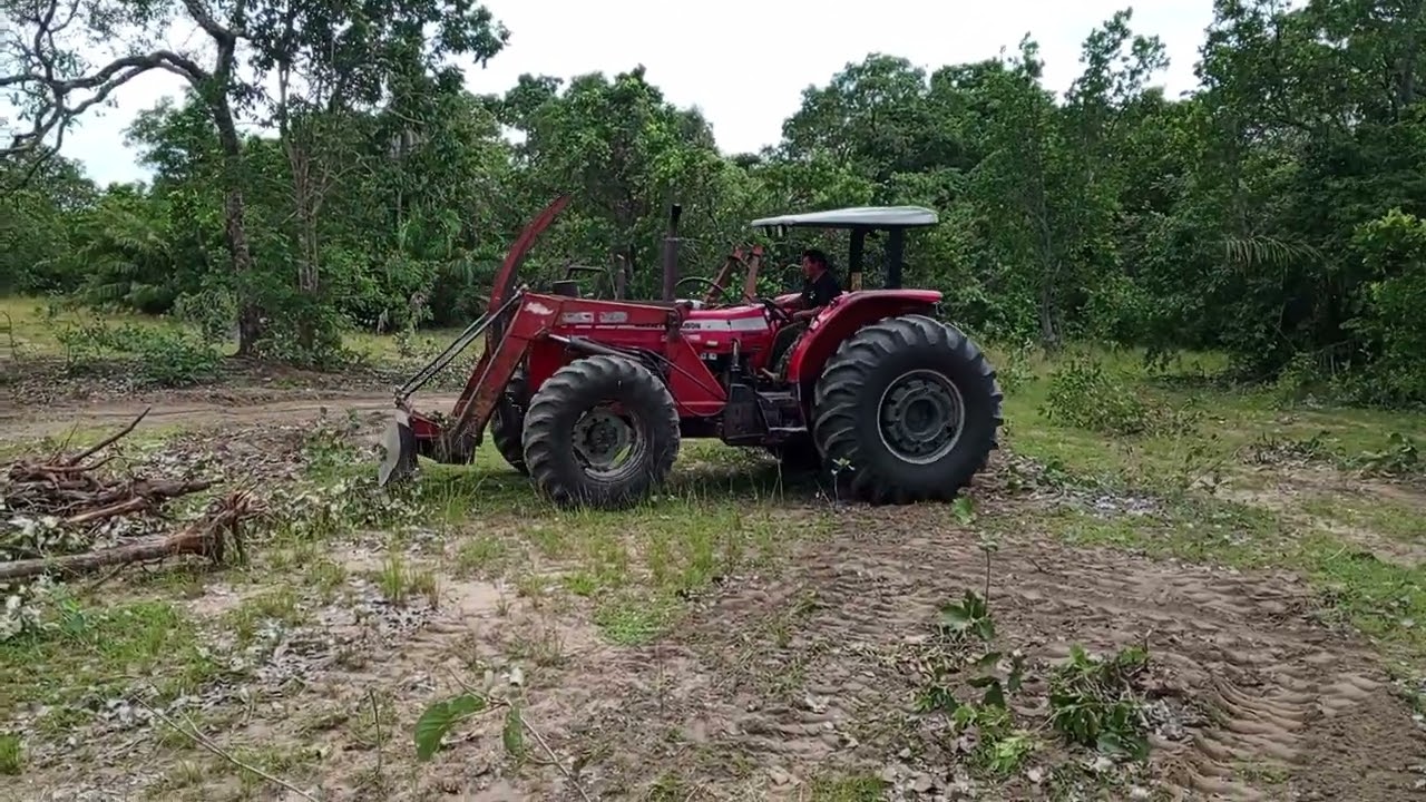 Limpando a invernada da fazenda casa branca