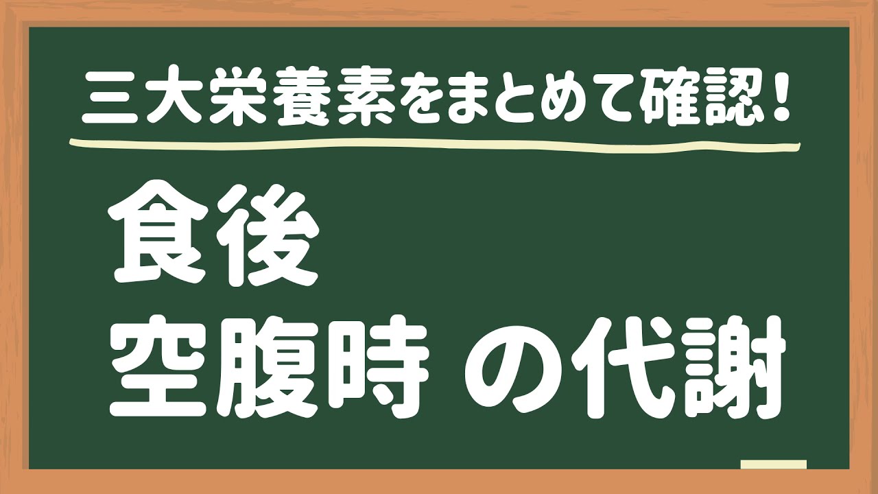 食後・空腹時の代謝をマスターしよう！【基礎栄養学】