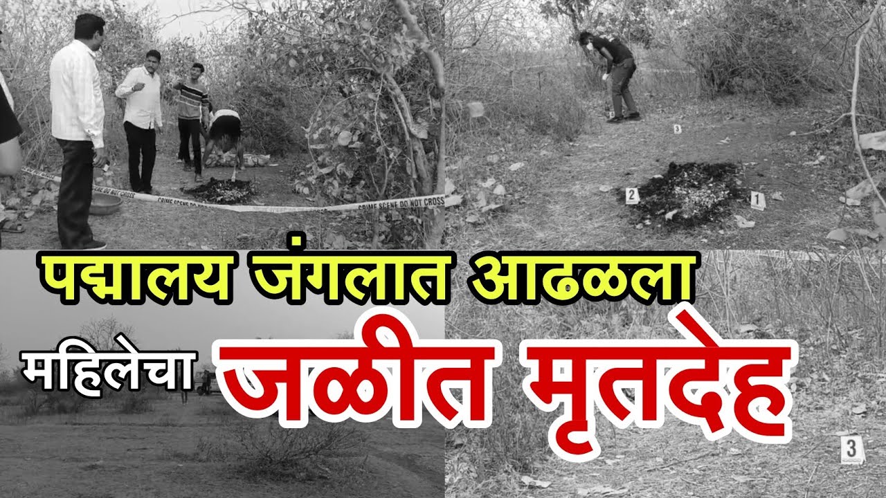 पद्मालय जंगलात आढळला महिलेचा जळीत मृतदेह खून करून पुरावे नष्ट करण्याचा प्रयत्न.