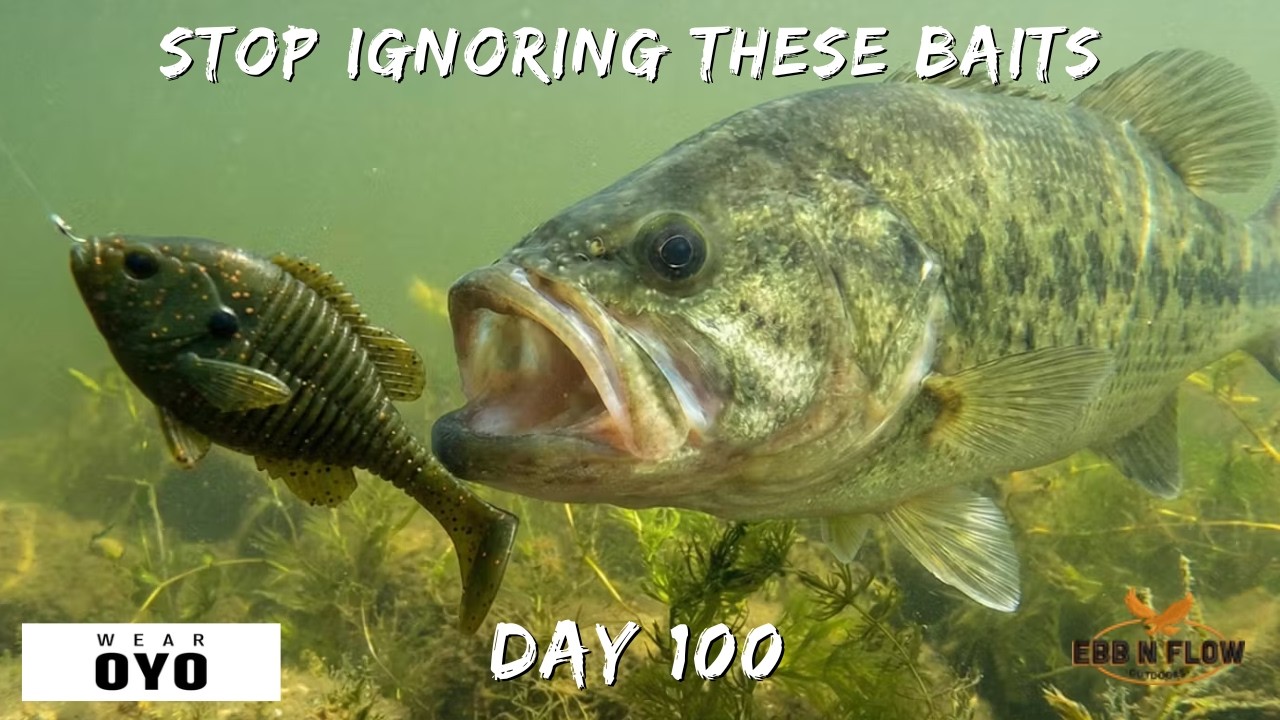 Перестаньте игнорировать эти 5 приманок для ловли окуня в марте! (Подводная съемка)