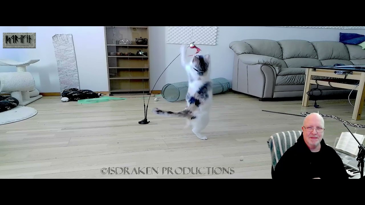 New cat toy from TEMU loved by my cats