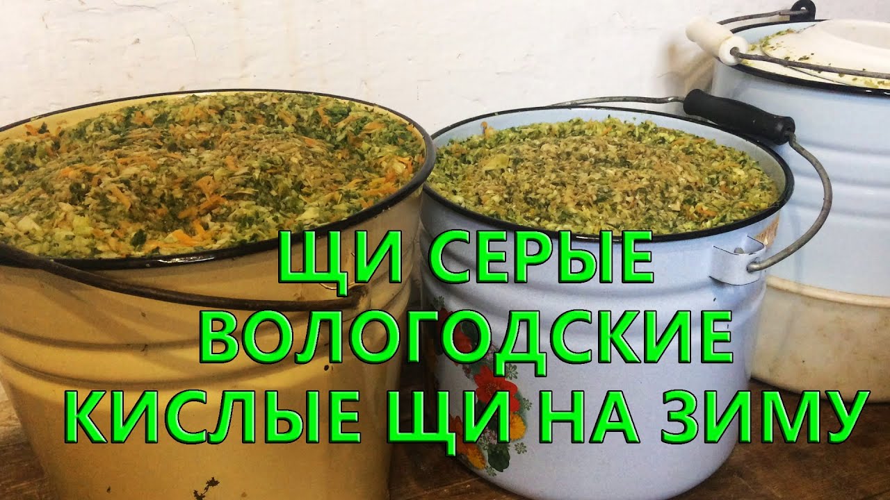 Серые щи из зеленых листьев капусты. Вологодские щи. Заготавливаем на зиму.
