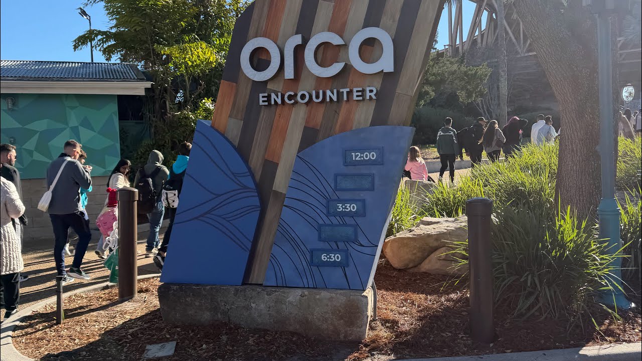 Orca Encounter, Orlando, Florida.