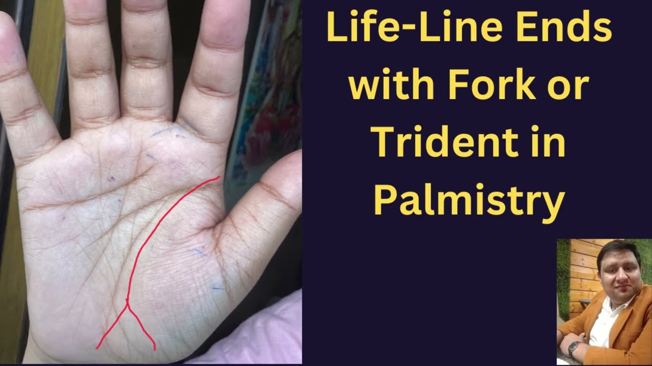 Life-Line Ending in a Fork in Palmistry| Life line splits into two at the end.