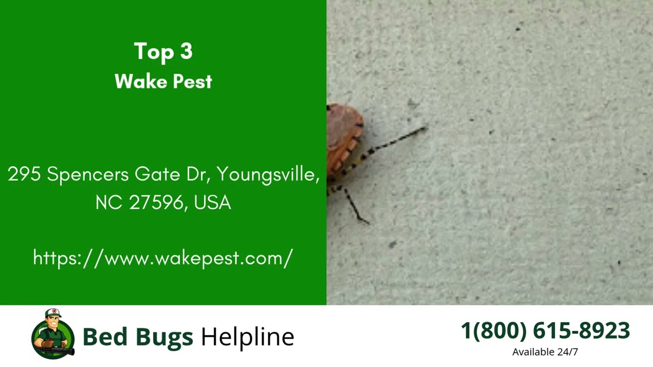 Top 3 Bed Bug Removal in YoungsvilleTop 3 Bed Bug Removal in Youngsville   