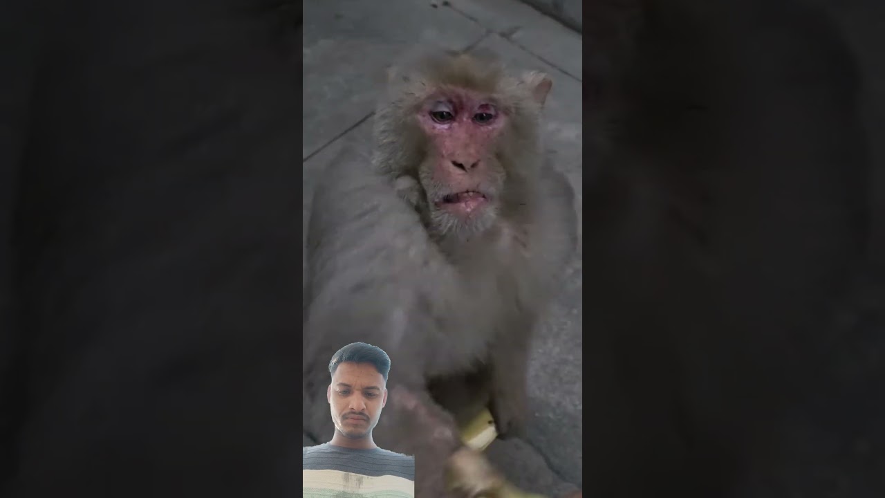 #funny