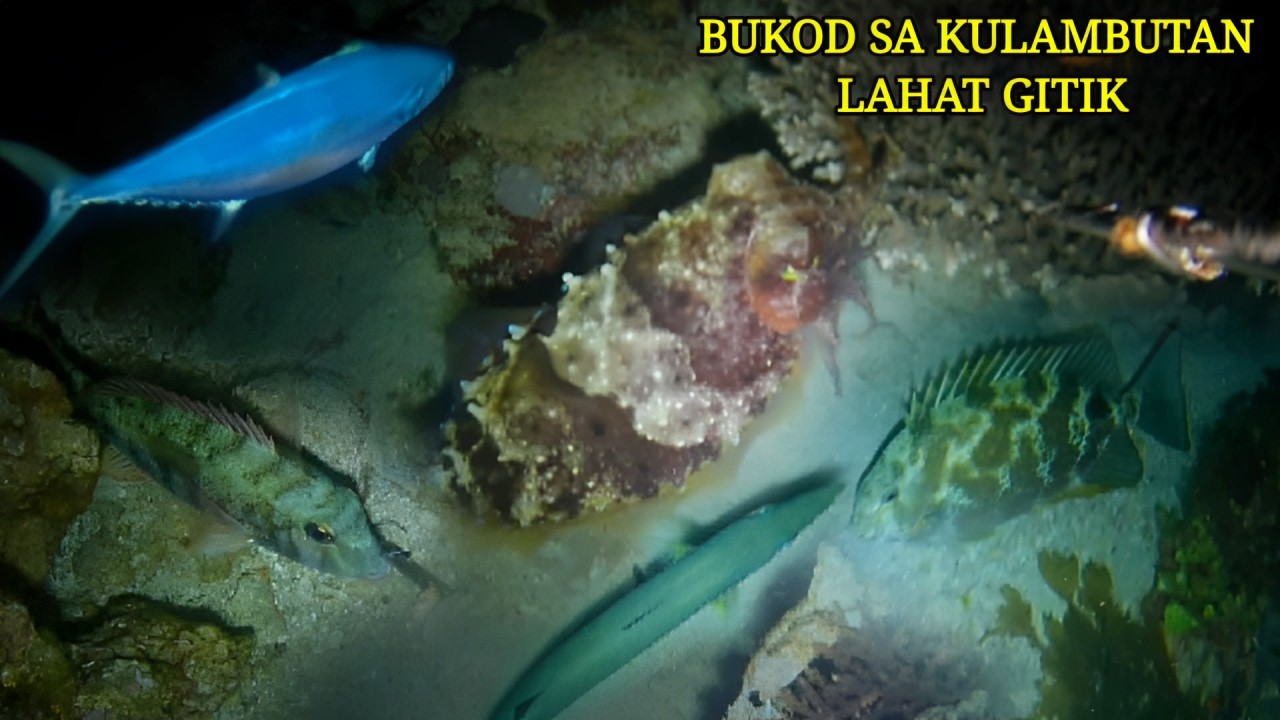 EP 476: BUKOD SA KULAMBUTAN LAHAT GITIK👍👍