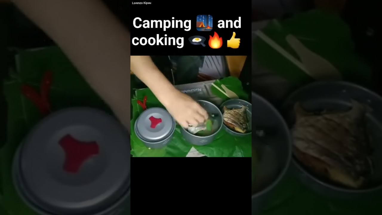 Camping Alone #shorts #campingandcooking #solocamping #campingintherain #jungle #nature #naturehike