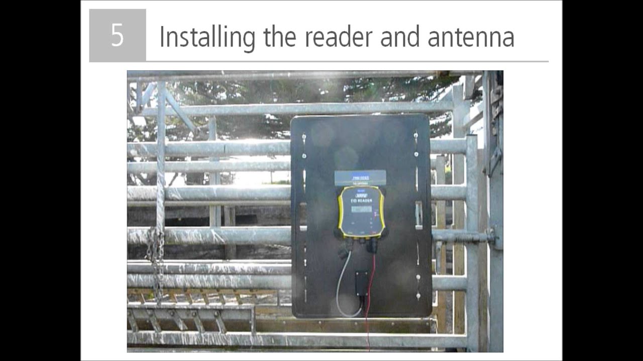 Tru Test XRP2 EID Panel Reader 