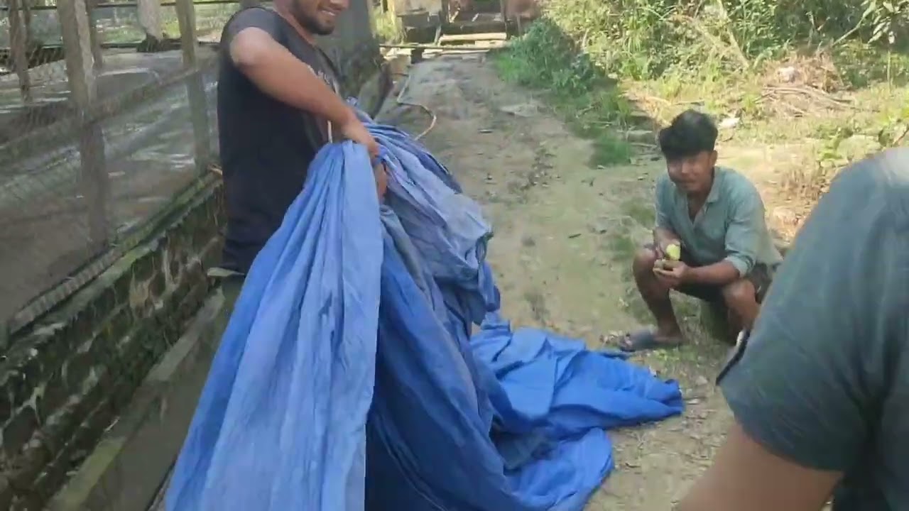 ফারামে পর্দা লাগাতে গিয়ে ব্যর্থ হয়ে ফিরে আসলাম