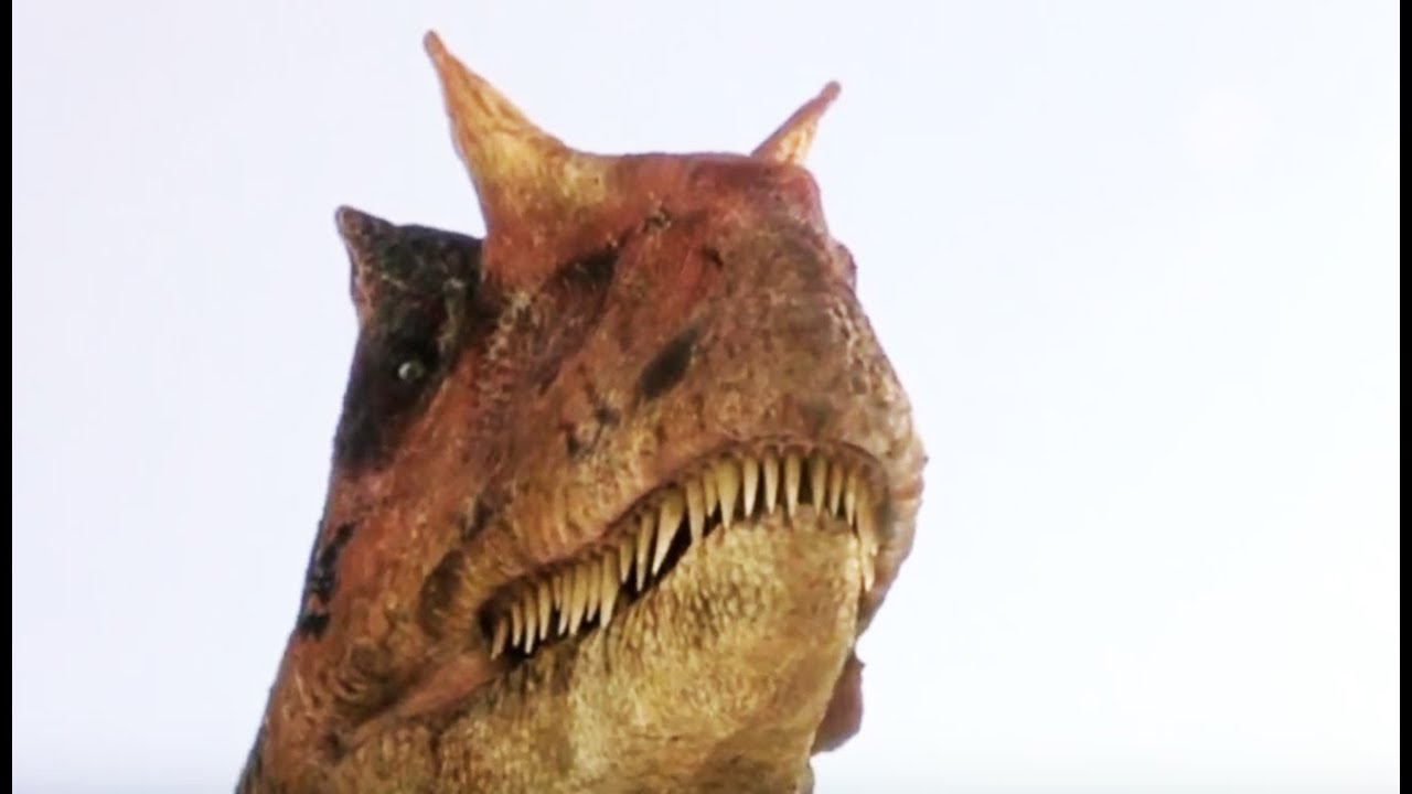 Allosaure VS stégosaure (dinosaures) - ZAPPING SAUVAGE
