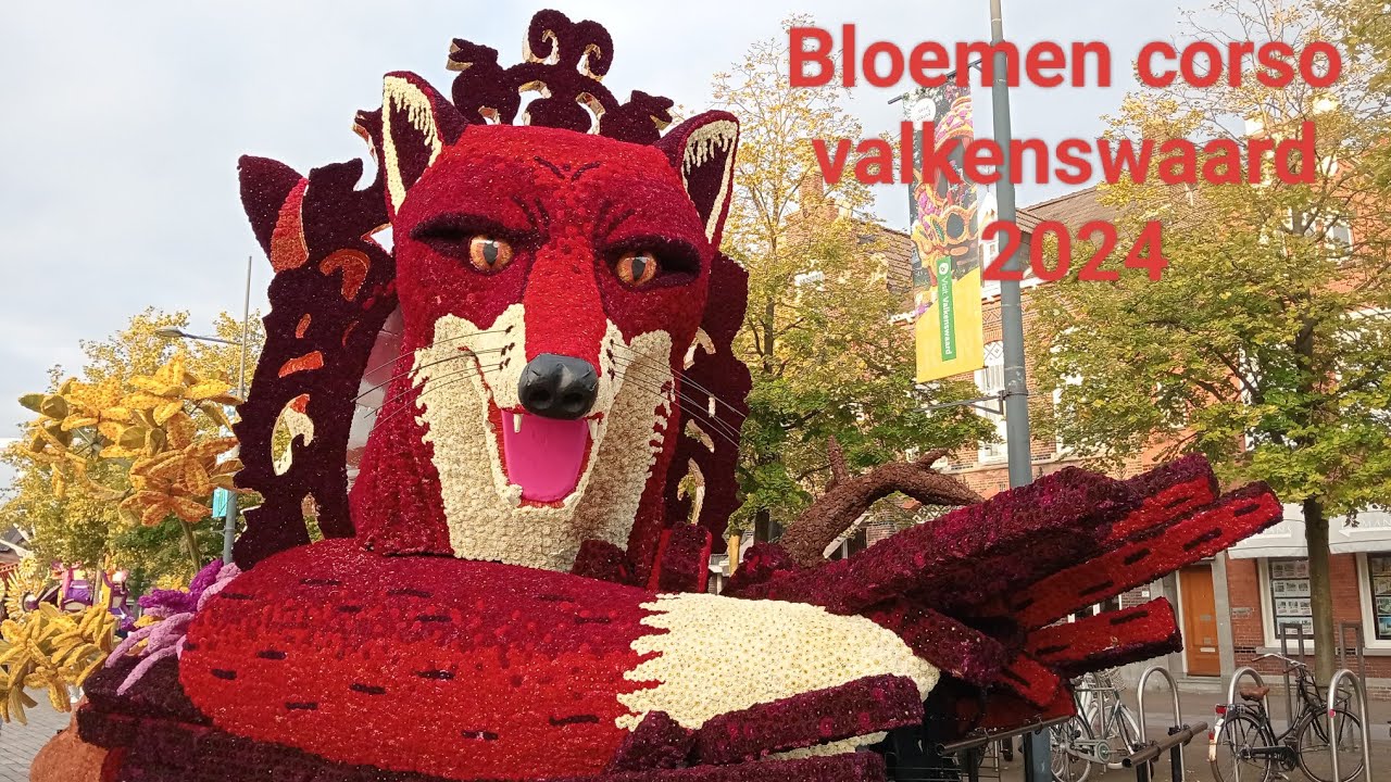 Bloemencorso Valkenswaard 2024 荷蘭小鎮花車遊行 #bloemencorso #flowers parades