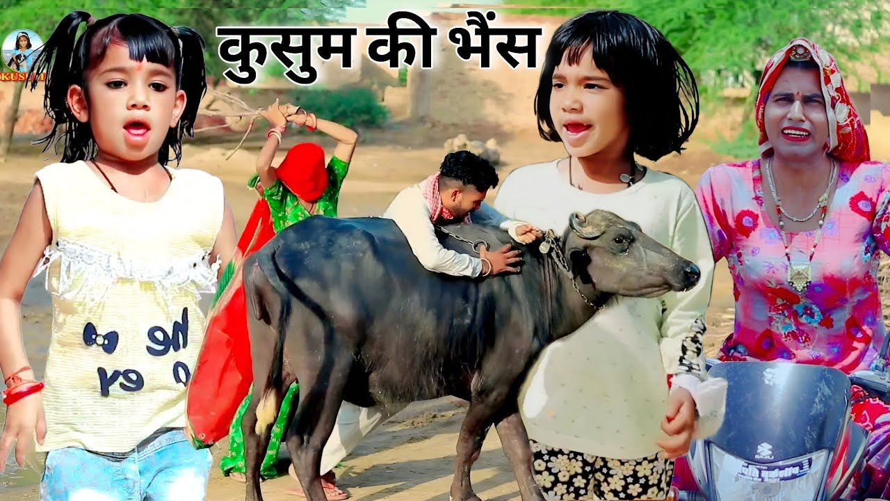 कुसुम की भैंस | Rajasthani comedy | kusum ki comedy | dhoakli dadi | chimkandi dadi
