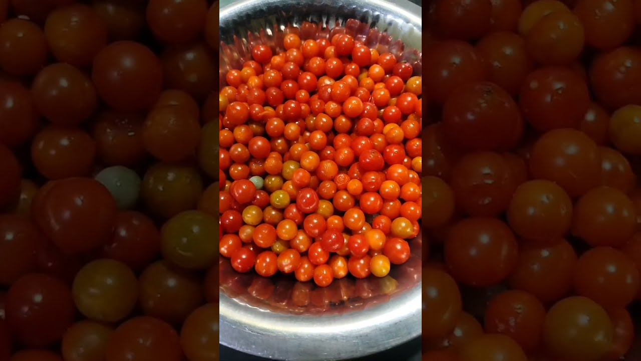 Cherry Tomato Ka Salan | Indian Style Gravy Recipe 🍅