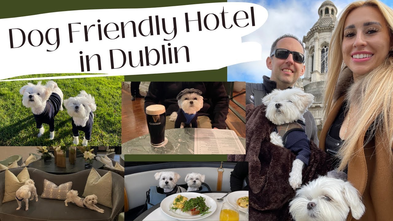 Dog Travel/ Dog Vacay Trip to Ireland: The Conrad Dublin Pet Friendly Hotel Review