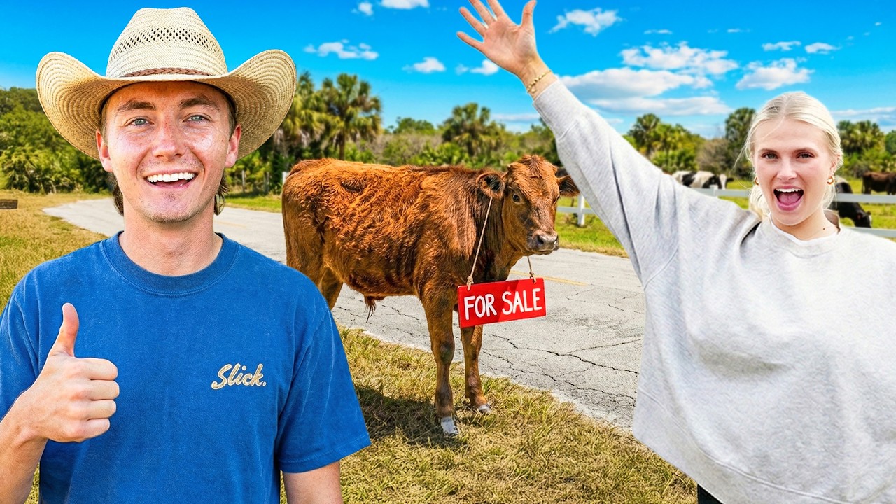 We Got Cows! (They Escaped)