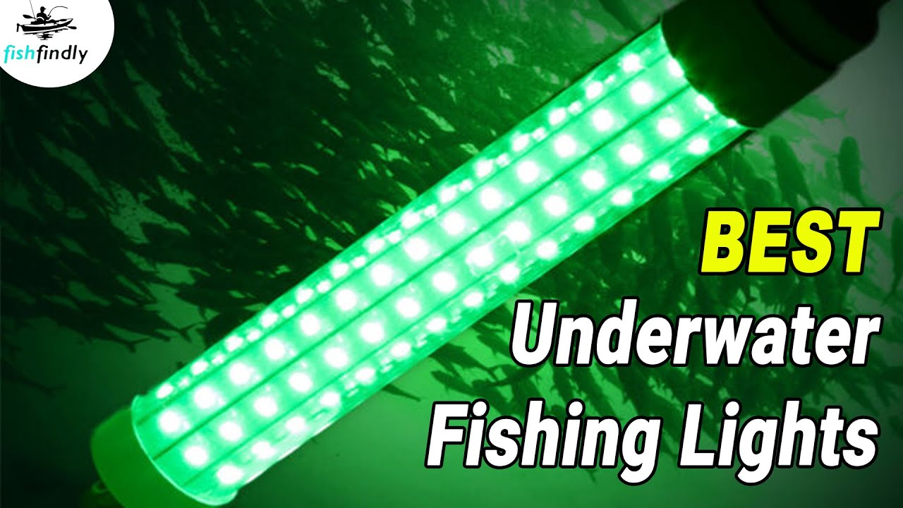 Best Underwater Fishing Lights In 2020 – Attract Fish Anywhere!