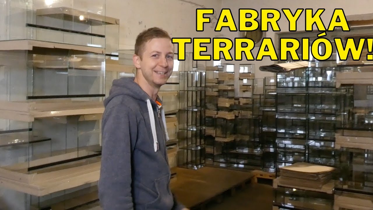 Największa fabryka TERRARIÓW w Polsce! 🤯