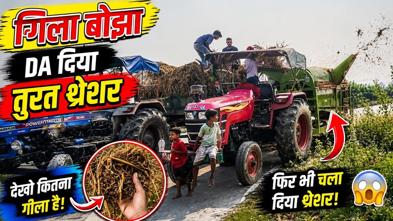 Gila बोझा da दिया तुरत थ्रेशर powertrac Euro 50 #avinashchauhantractor Mahidra 