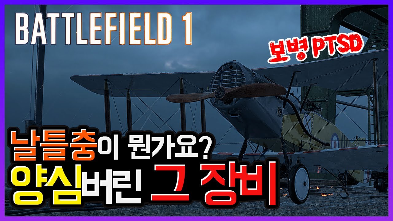 날틀충이 뭐냐구요? 보병 개미핥기 지상공격기!! [배틀필드1]
