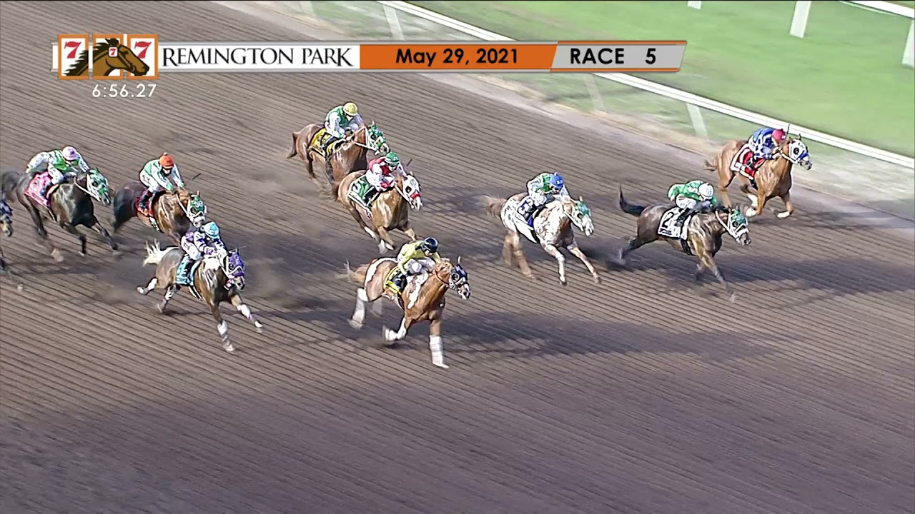 2021 Speedhorse Graham Paint & Appaloosa Futurity