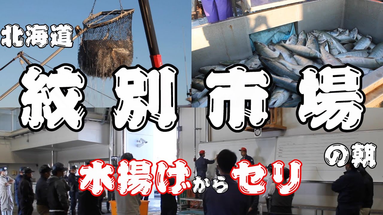 紋別の市場～水揚げからセリまで～