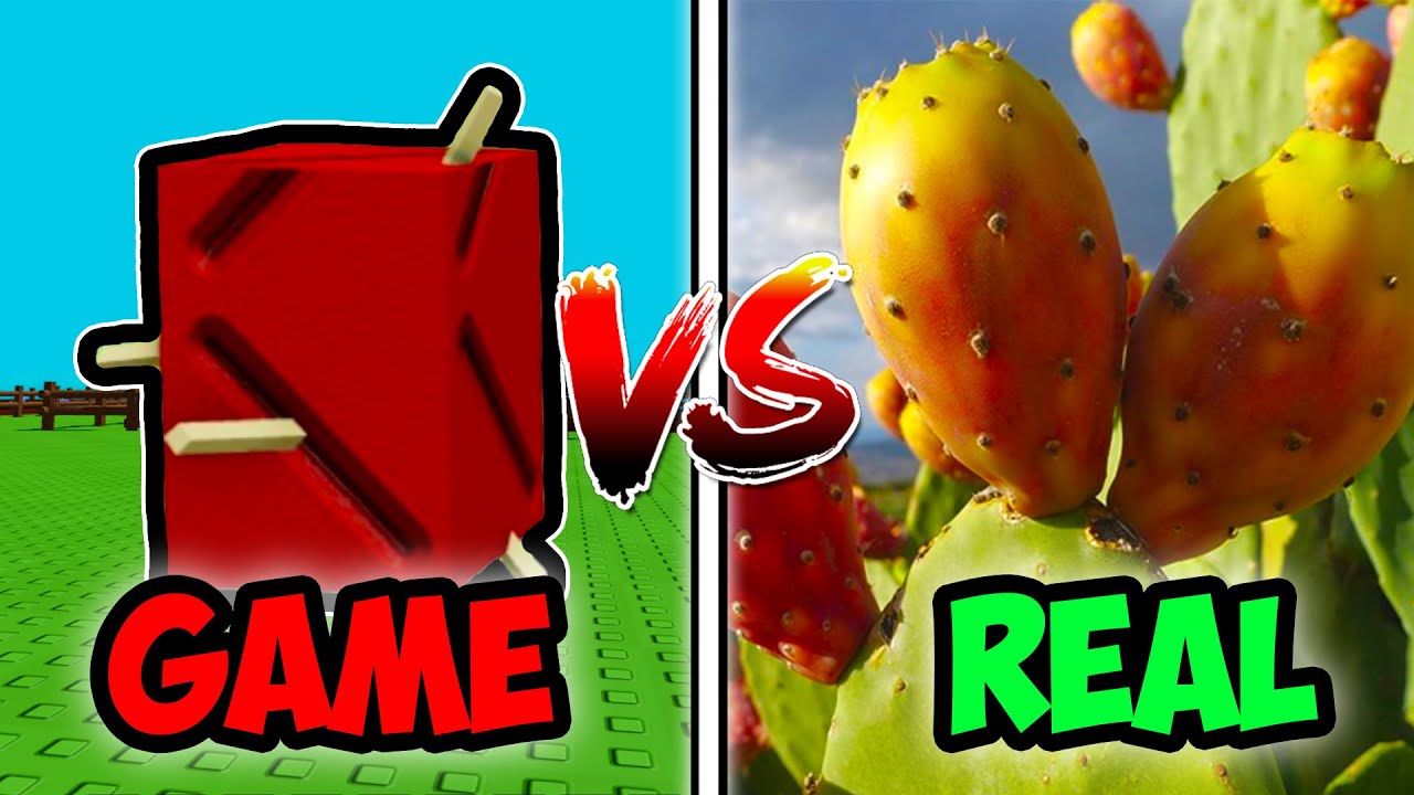 What Do Grow a Garden Summer Fruits Look Like In Real Life?
