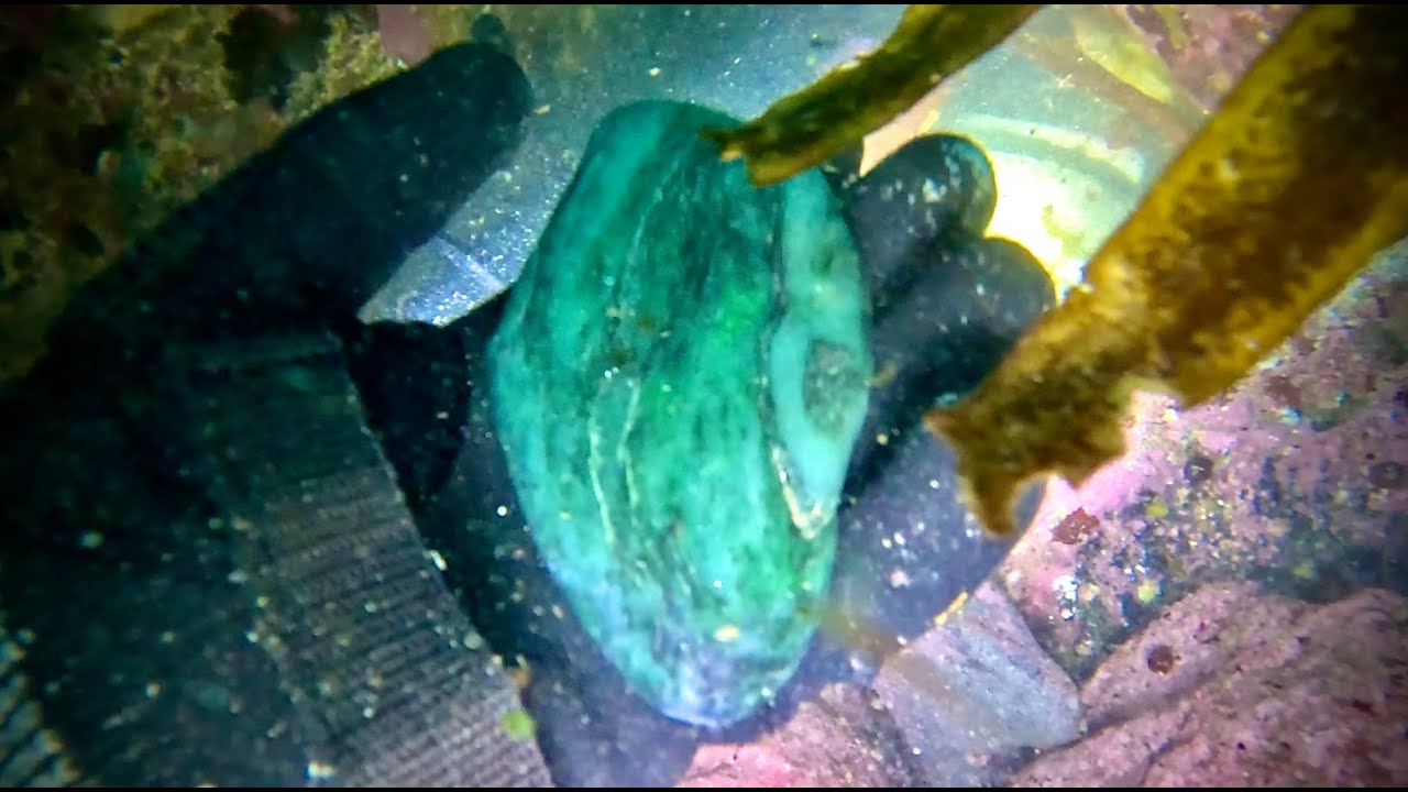 Scuba Diving Jade Cave in Jade Cove, Big Sur California
