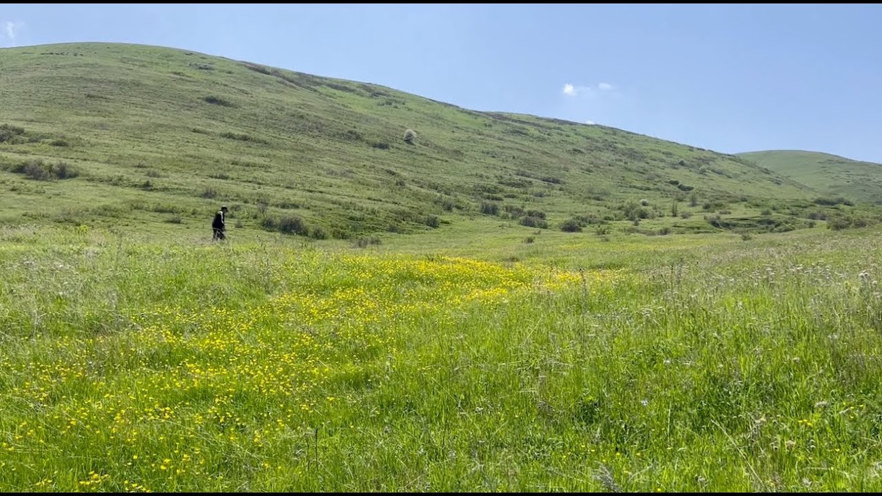 Դաշտից սեղան կամ փիրվազի լեգենդը