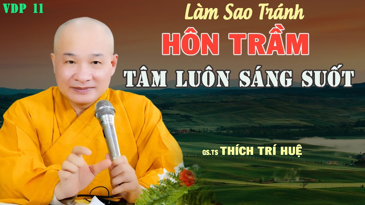 Làm Sao Tỉnh Táo Sáng Suốt Không Bị Hôn Trầm - Cực hay. Thầy Thích Trí Huệ VDP 11