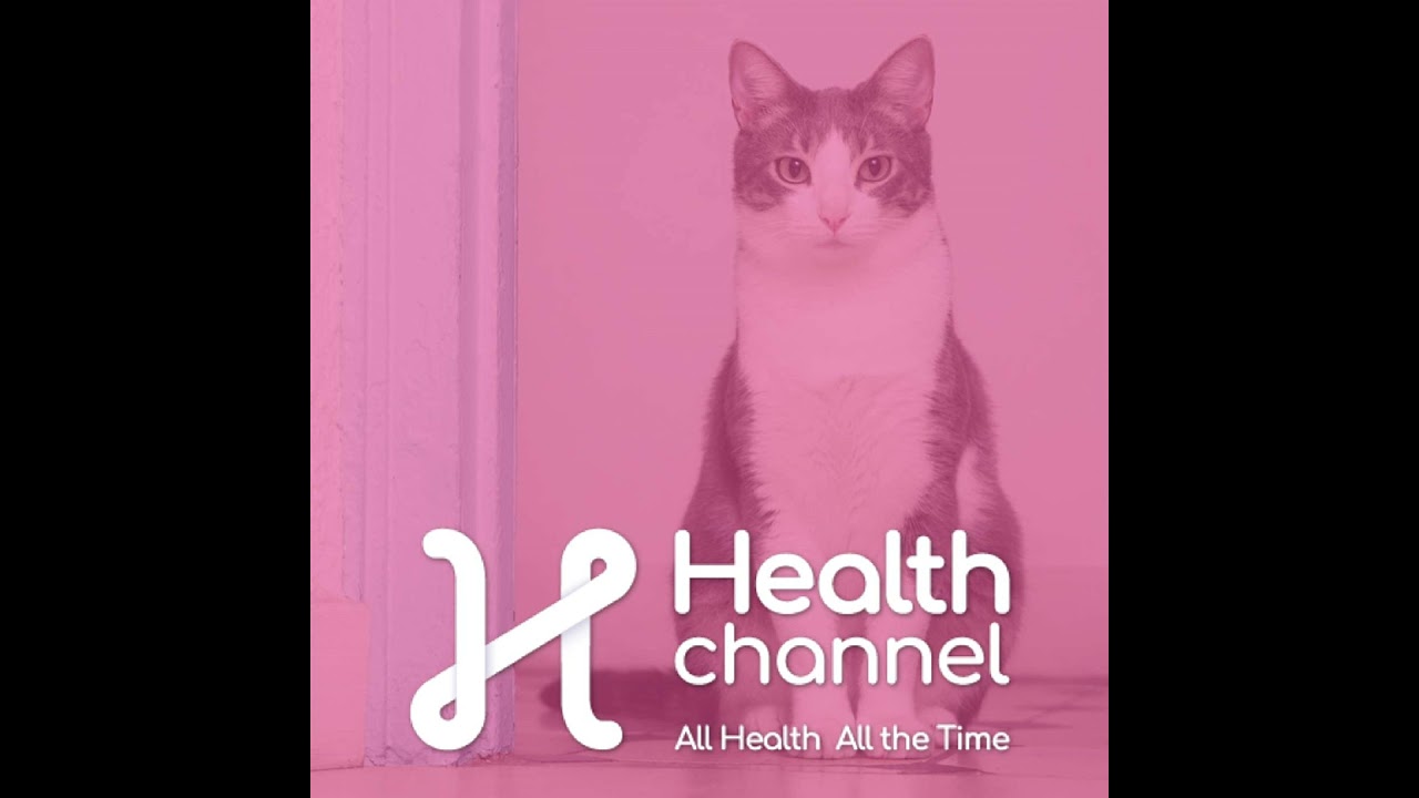 Pet-Proofing Your Home 101 | Ask The Doc