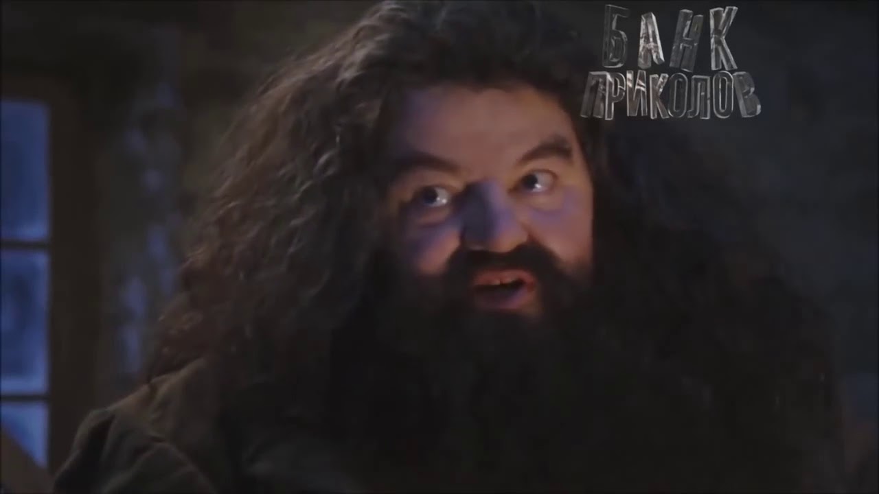 ИДЕАЛЬНЫЕ ФОРМЫ  12 МИНУТ УГАРНЫХ ПРИКОЛОВ   Приколы 2019, Апрель, Рофлы, Memes