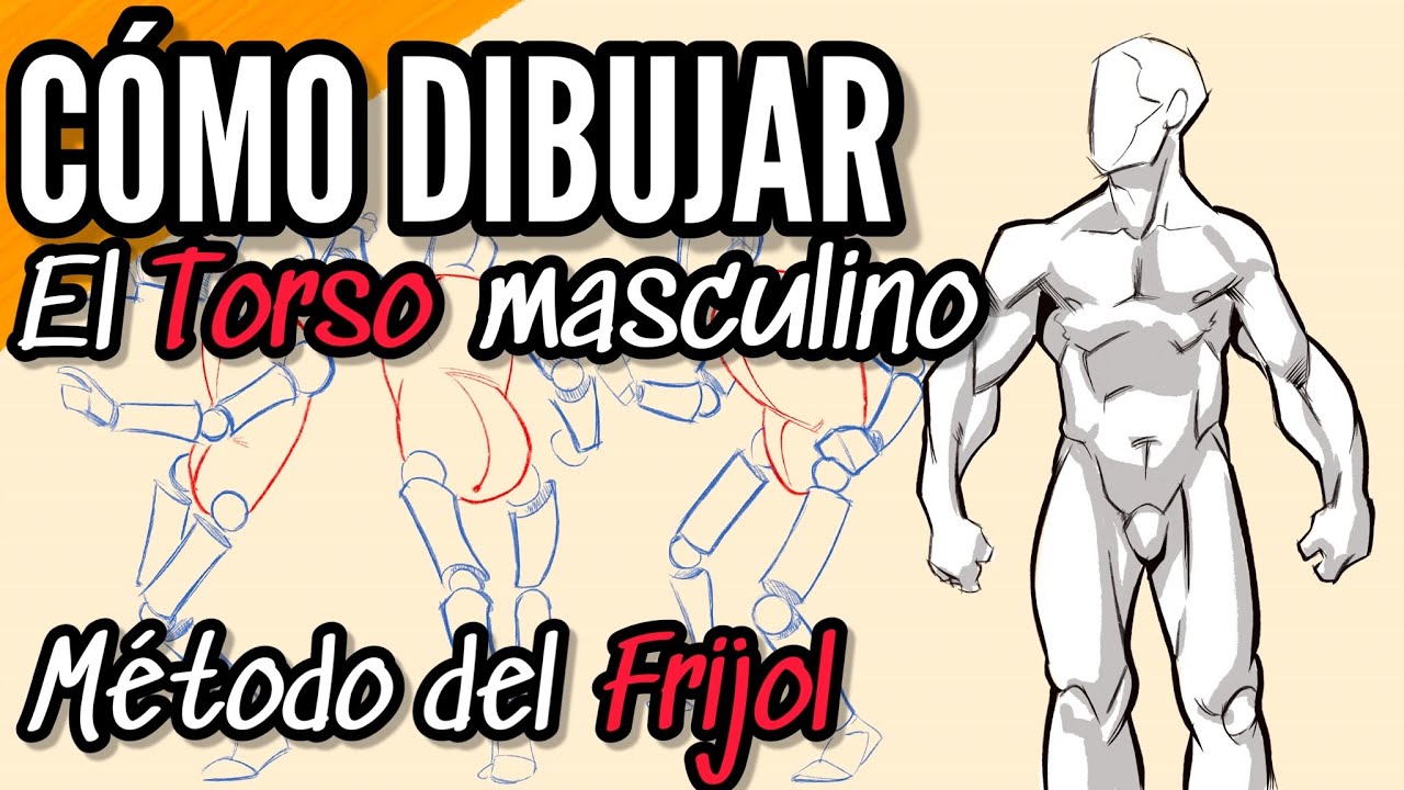 DIBUJA LA FIGURA MASCULINA / MÉTODO DEL FRIJOL / BEAN DRAWING METHOD / TUTORIAL DE DIBUJO #dibujo