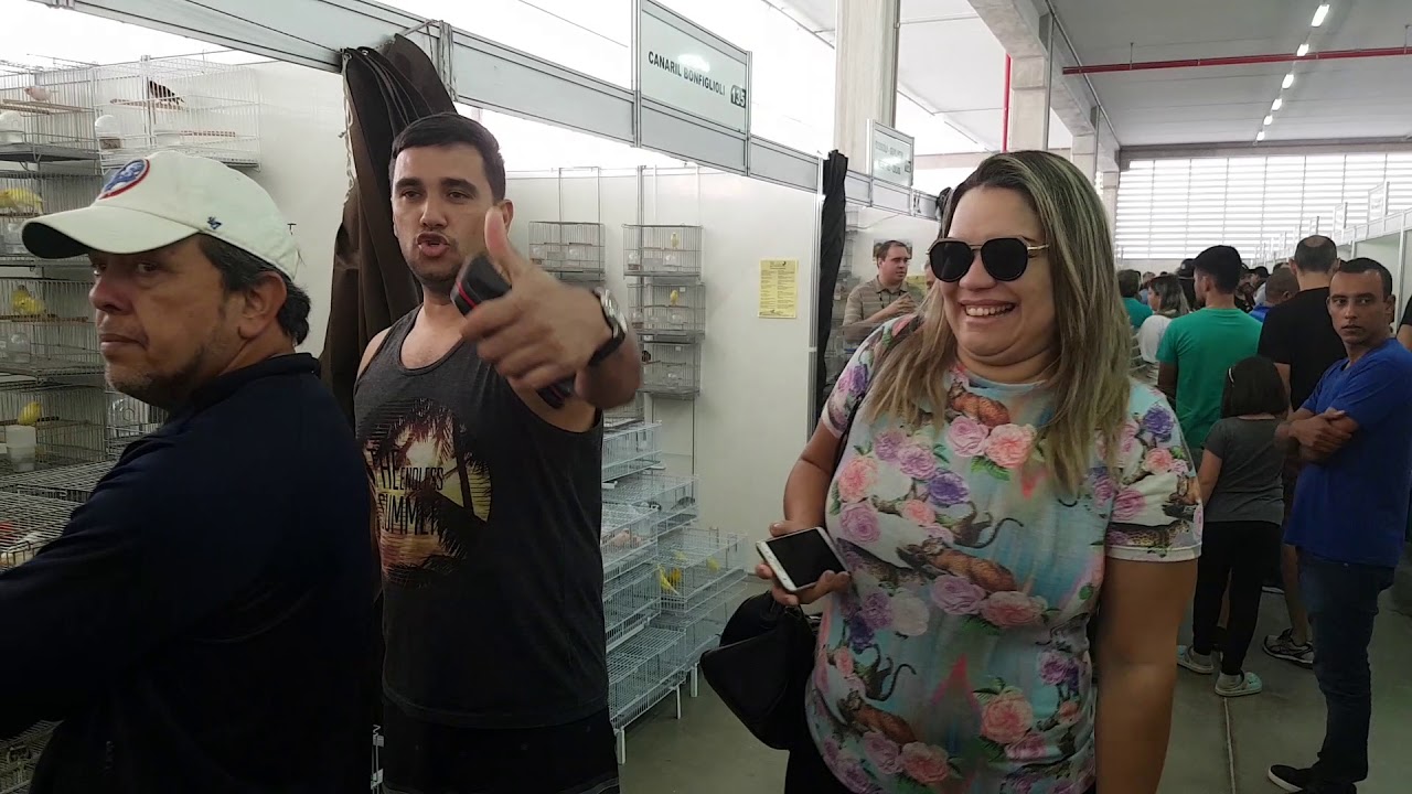 ESSE DIA FOI LOUCURA NO CAMPEONATO BRASILEIRO DE ORNITOLOGIA 2018 (FOB)