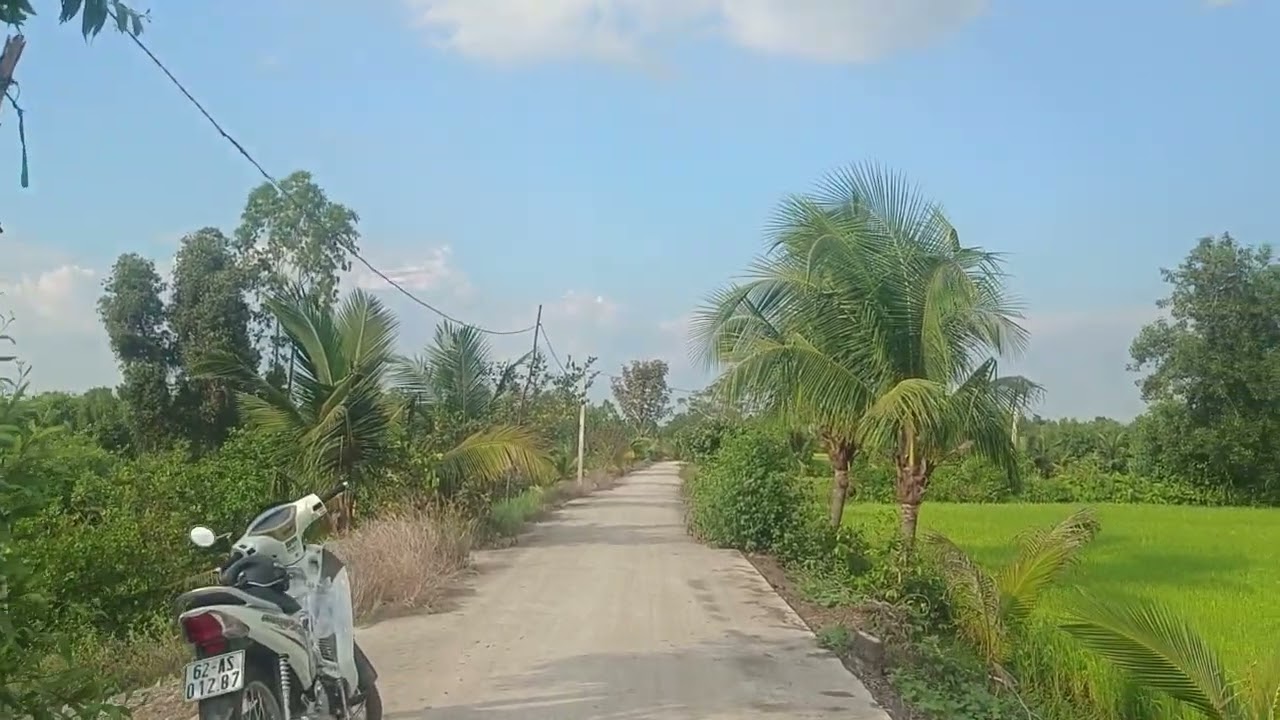 Ms 360 dt 2282mz 442,5mz TC 1839mz đất lúa 1,5t Sài Gòn 42km đường bê tông LH 0963915438
