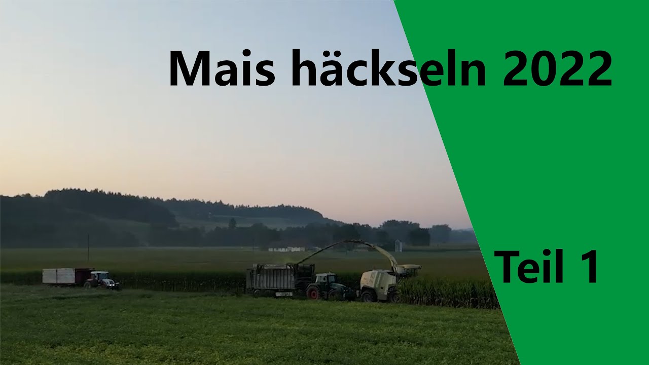 Mais Häckseln Teil 1