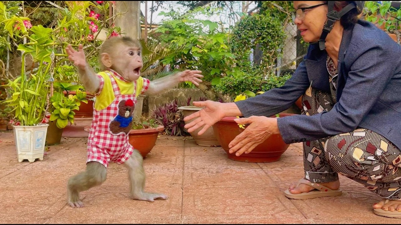 Pure Joy! Lulu Embraces Grandma Right After Reuniting